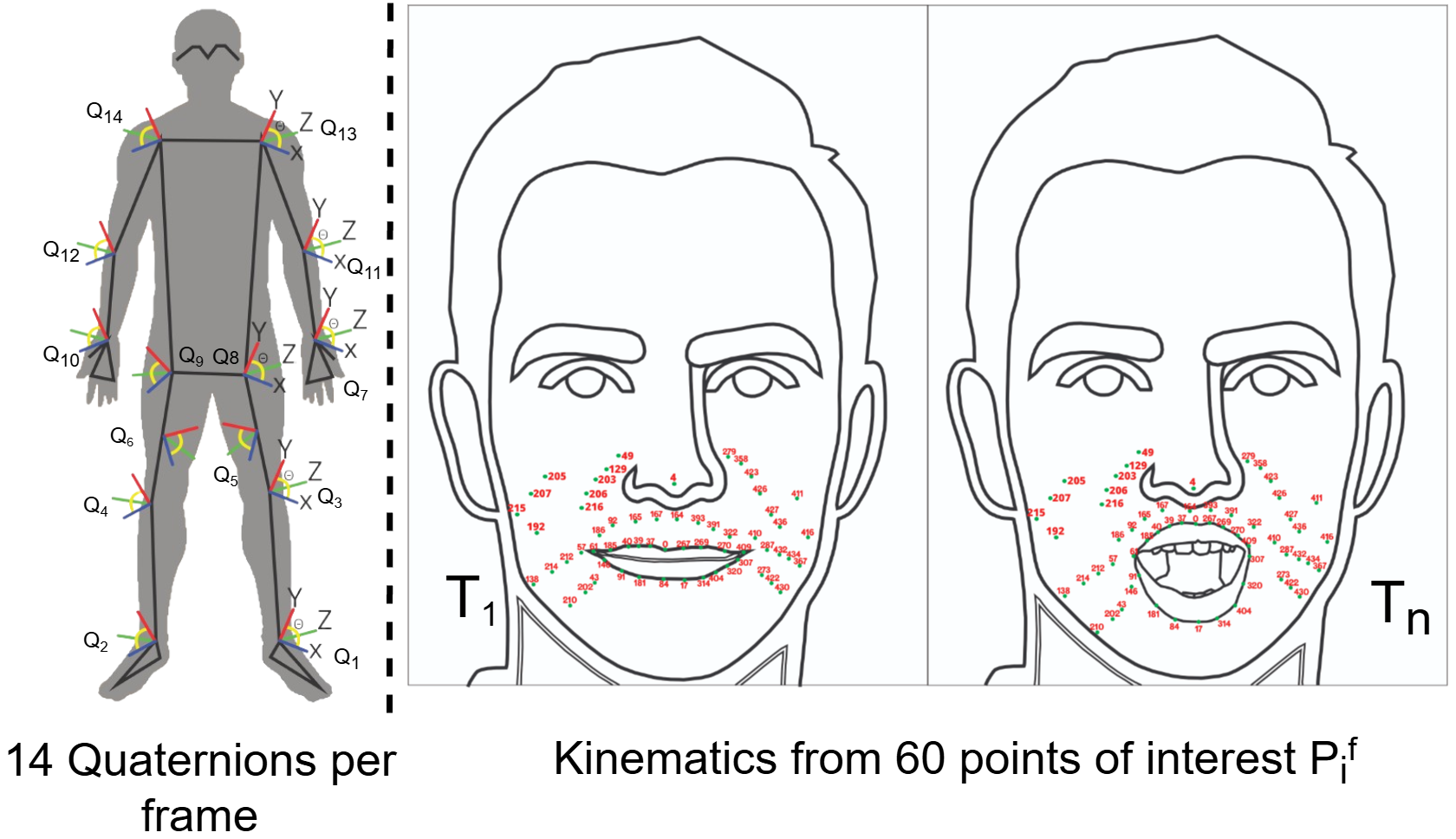 Modalidades: marcha y expresión facial